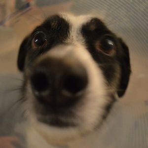 Meet your Posher, Maddie